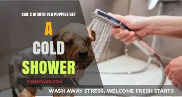Can Young Puppies Handle Cold Showers? Expert Advice for 2-Month-Olds