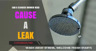 Clogged Shower Head Leaks: Causes, Risks, and Quick Fixes