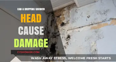 Dripping Shower Head: Minor Annoyance or Hidden Home Damage Risk?