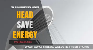 High Efficiency Shower Heads: Energy-Saving Solution or Myth?
