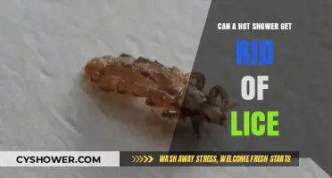 Hot Showers and Lice: Effective Treatment or Just a Myth?