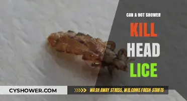 Hot Showers and Head Lice: Debunking Myths and Finding Solutions