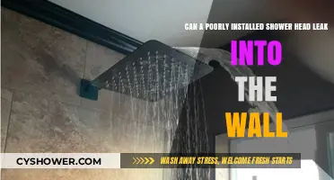 Poorly Installed Shower Head: Wall Leaks and Hidden Damage Risks