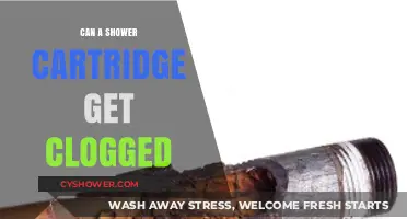 Can Shower Cartridges Clog? Causes, Symptoms, and Quick Fixes