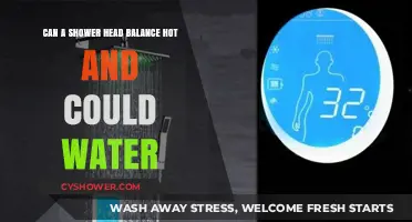 Shower Head Temperature Control: Balancing Hot and Cold Water Effortlessly