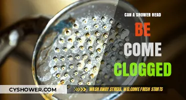 Can Your Shower Head Get Clogged? Causes and Quick Fixes
