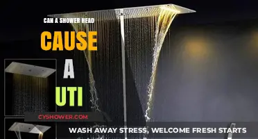 Can Your Shower Head Trigger a UTI? Surprising Facts Revealed