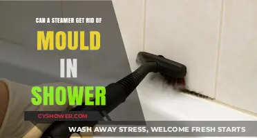 Effective Mould Removal: Can a Steamer Clean Your Shower?