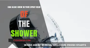 Can Algae Thrive in Your Shower Spray Head? Surprising Facts