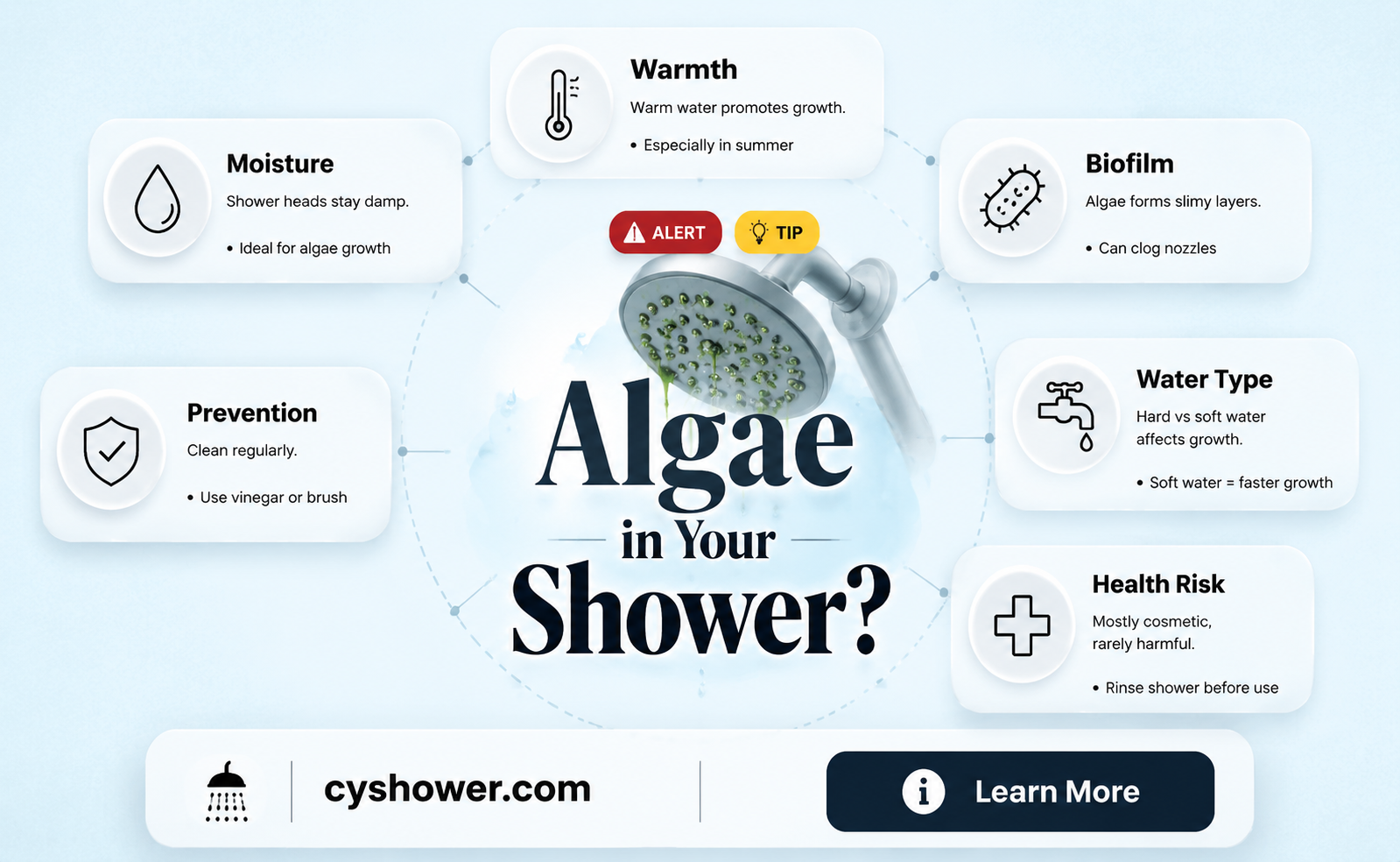 can algae grow in your spray head of the shower