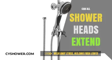 Can All Shower Heads Extend? Exploring Flexibility and Compatibility Options