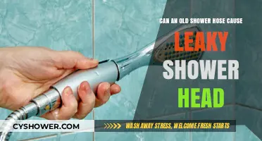Old Shower Hose: The Hidden Culprit Behind Your Leaky Shower Head?