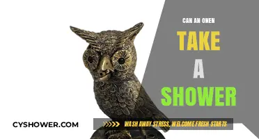Can Owls Shower? Exploring the Myth of Owls and Water