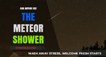 Meteor Shower Visibility: Who Can Witness the Celestial Spectacle?