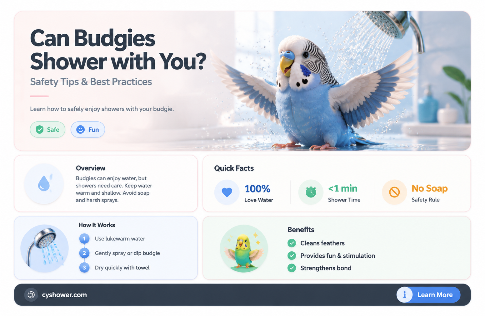 can budgies take a shower with you