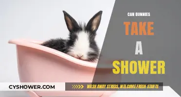 Can Bunnies Take Showers? Bathing Tips for Your Rabbit