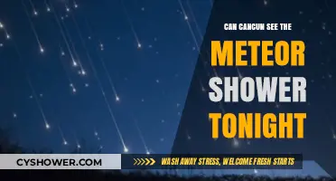 Cancun's Night Sky: Will the Meteor Shower Be Visible Tonight?