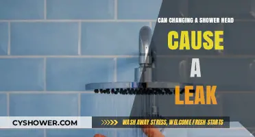 Can a New Shower Head Cause Leaks? What You Need to Know