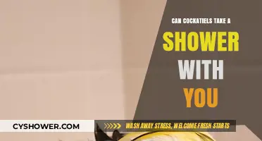 Can Cockatiels Shower with You? Safety Tips and Considerations