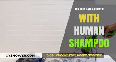 Can Dogs Use Human Shampoo? Safe Shower Tips for Pets