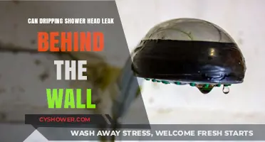 Can a Dripping Shower Head Cause Hidden Wall Leaks?