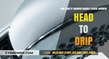 Faulty Shower Handle: The Hidden Culprit Behind a Dripping Shower Head?