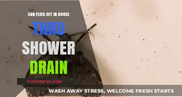 Can Flies Enter Your Home Through the Shower Drain?