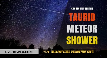 Can Floridians Spot the Taurid Meteor Shower This Year?