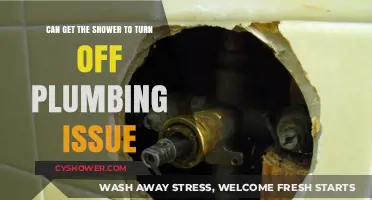 Troubleshooting Persistent Shower Plumbing: How to Fix a Stuck Valve