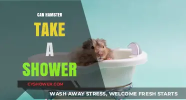 Can Hamsters Take Showers? Safe Bathing Tips for Your Pet