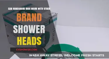 Hansgrohe iBox Compatibility: Can It Work with Other Shower Heads?