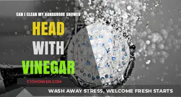 Vinegar Cleaning Guide: Safely Maintain Your Hansgrohe Shower Head