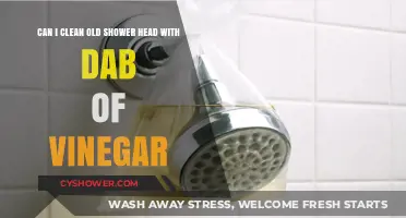 Revive Your Old Shower Head: Vinegar Cleaning Hack Revealed