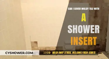Covering Moldy Tile with a Shower Insert: Risks and Solutions