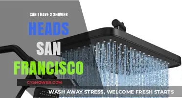Dual Shower Heads in San Francisco: Plumbing Possibilities and Permits