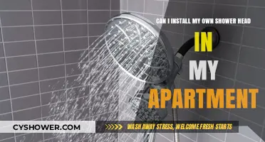 DIY Shower Head Installation: A Guide for Apartment Renters