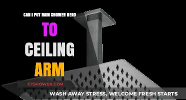 Can You Install a Rain Shower Head on a Ceiling Arm?