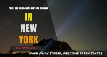 Draconids Meteor Shower Visibility in New York: What to Expect