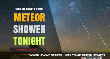 Halley's Comet Meteor Shower: Tonight's Visibility Guide and Tips