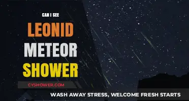 How to Spot the Leonid Meteor Shower: Tips and Best Viewing Times