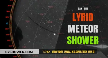 Where and When to Watch the Lyrid Meteor Shower