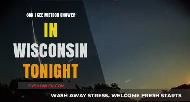 Wisconsin's Night Sky: Meteor Shower Visibility Tonight – What to Expect