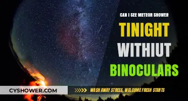 Spotting Tonight's Meteor Shower: Do You Need Binoculars?