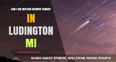Ludington MI Meteor Shower Viewing Guide: Tonight's Celestial Show
