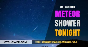 Orionid Meteor Shower Tonight: Visibility Guide and Best Viewing Tips