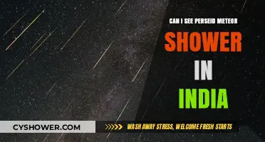 Perseid Meteor Shower 2023: Visibility and Best Viewing Tips in India