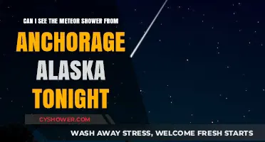 Anchorage Meteor Shower Viewing: Tonight's Celestial Show Visibility Guide
