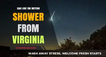 Virginia's Night Sky: Viewing the Meteor Shower from the Commonwealth