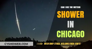 Chicago's Night Sky: How to Spot the Meteor Shower in the City