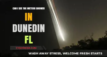 Dunedin, FL Meteor Shower Viewing Guide: Tips and Best Spots